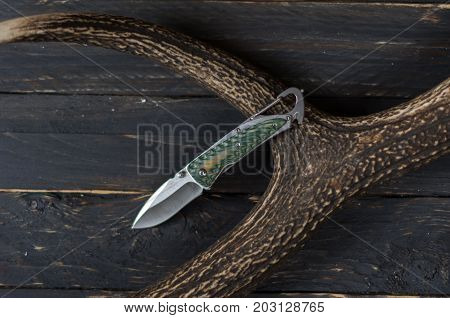 Green Knife With A Carabiner On A Deer Horn.