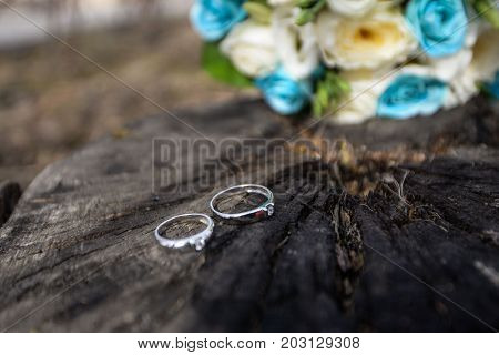 Golden Wedding Rings Outdoors on the Tree Background