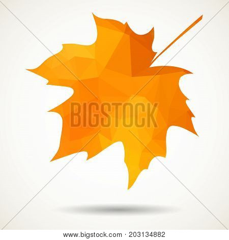 Triangular Maple Leaf