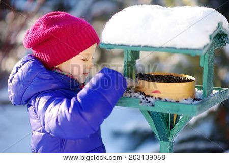 Adorable Little Girl Feeding Birds On Chilly Winter Day In City Park. Child Helping Birds At Winter.