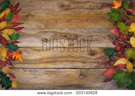 Thanksgiving Background With Leaves On Old Wooden Table