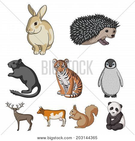 Deer, tiger, cow, cat, rooster, owl and other animal species.Animals set collection icons in cartoon style vector symbol stock illustration .
