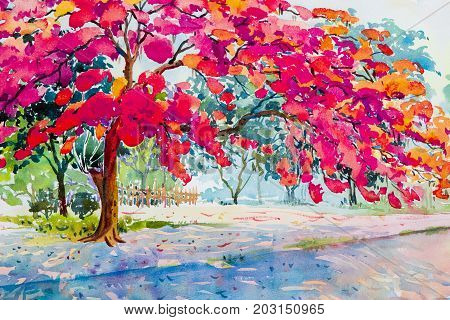 Watercolor landscape original painting red orange color of peacock flower.Hand painted floral and blue sky background, beauty nature summery season.