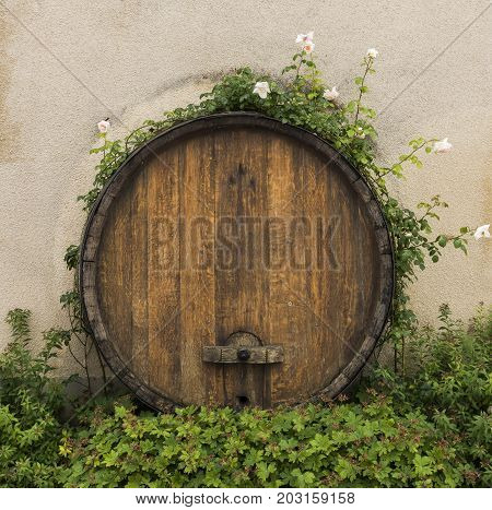 Part of Champagne Barrel with two window shutters in the small town of Hautvillers in the Champagne district in France.
