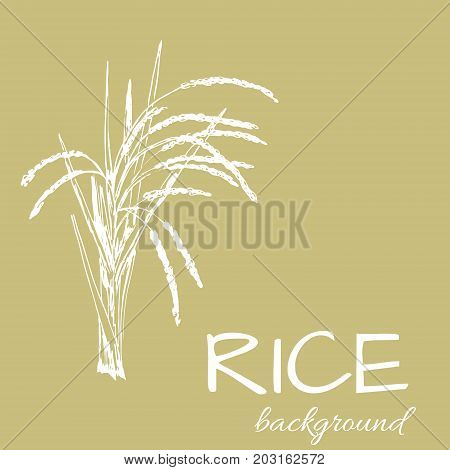 vector background with rice logo hand-drawn plants