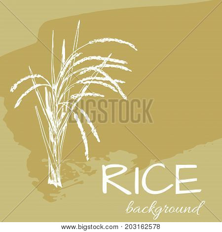 vector background with rice logo hand-drawn plants