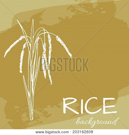 vector background with rice logo hand-drawn plants