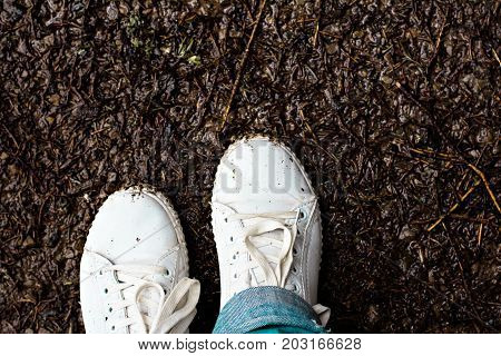 Women's legs in white sneakers stand in the mud. Autumn mud. Women's legs in white sneakers stand in the mud. Autumn mud.