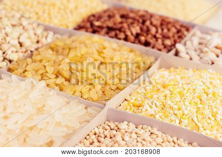 Assortment different groats as background closeup. Wheat pearl bulgur millet rice couscous semolina corn grits buckwheat quinoa.