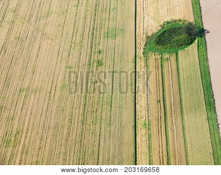 Above View Of Green And Yellow Harvested Fields