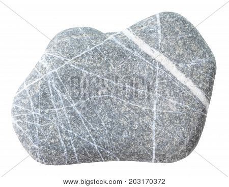Pebble Of Graywacke Stone Isolated