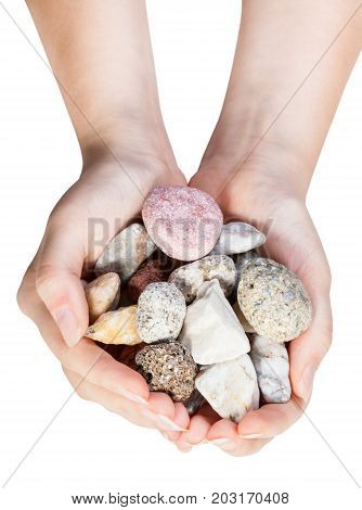 Top View Of Various Natural Pebbles In Handful