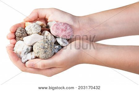 Above View Of Various Natural Pebbles In Handful