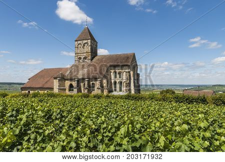 Church of Cuis in the Champagne village Cuis with green vineyards in the Champagne district Cotes de Blancs France.