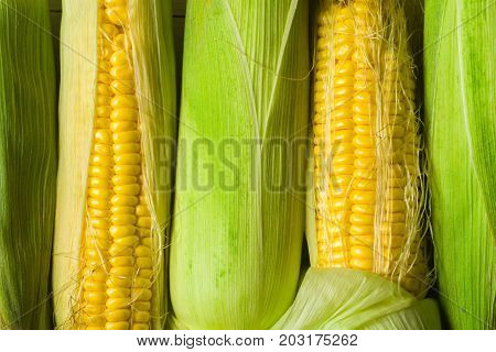 Corn corn in leaves against a white wooden table. Harvesting in the village. Stocks for the winter