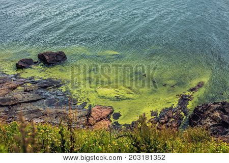 Moss-grown rocks along the beach on Suomenlinna an island fortress in Helsinki Finland