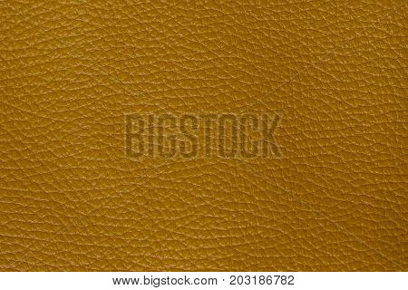 Green leather texture. structured background design druid