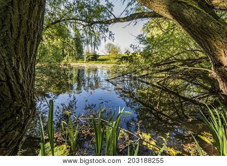 Small lake 'Hondegat' of Dirk Willemsz with trees near the town of Asperen in the Betuwe Netherlands