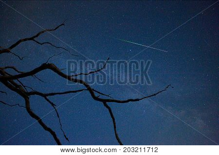 A perseid 'falling star' on a clear sky in august in the netherlands
