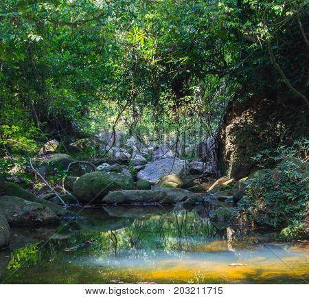 Scenery In Khao Sok National Park In Thailand. Khao Sok National Park The Rain Jungle Forest In Sura