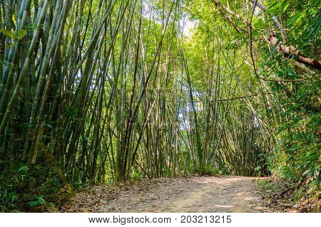 Scenery In Khao Sok National Park In Thailand. Khao Sok National Park The Rain Jungle Forest In Sura