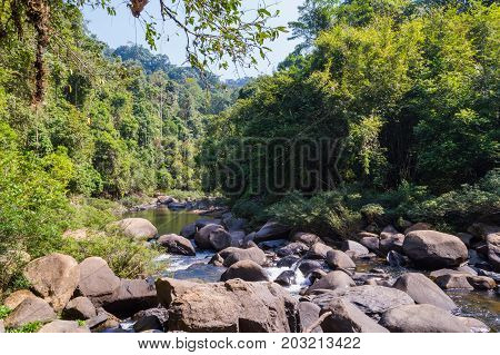 Scenery In Khao Sok National Park In Thailand. Khao Sok National Park The Rain Jungle Forest In Sura
