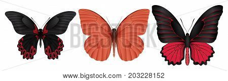 Set of colorful realistic butterflies. Vector 3D illustration