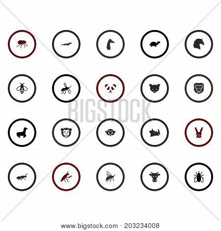 Collection Of Gnat, Fly, Housefly And Other Elements.  Set Of 20 Alive Icons Set.