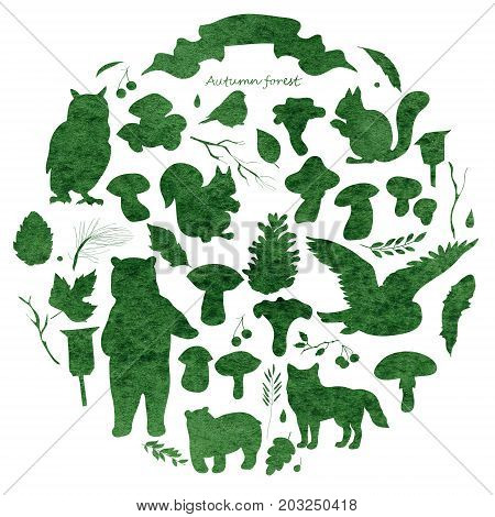 Watercolor illustration set with the image of leaves branches berries flowers animals and birds autumn elements bear squirrels fox owl Watercolor texture of green