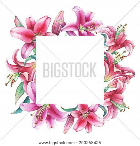 Poster, floral square frame with a pink lilies, isolated on white background. Watercolor hand drawn painting illustration.