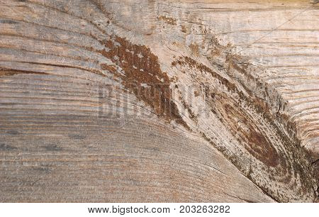 texture wood, wood, wall, stone, abstract, pattern, textured, rough, brown, rock, grunge, nature, surface, tree, dirty, material, backgrounds, wooden, sand, concrete, timber, structure, backdrop, vintage, grain