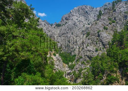 The Canyon Yolu