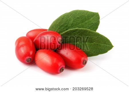 fresh barberry with leaves isolated on a white background.