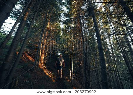 Hiking adventures of alone man photographer in evening forest.