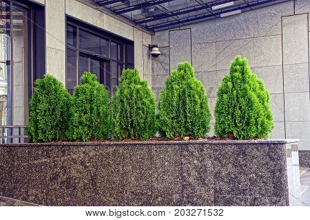 small decorative green thai on a marble fence near the wall of the building