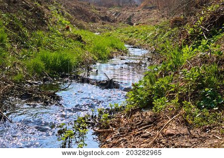 Small river stream flowing on sunny day, Ledinci, Serbia