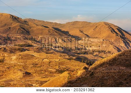 canyon Colca in Peru, South America