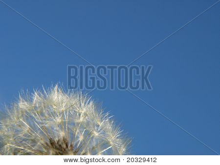 Musuem warten die Brise