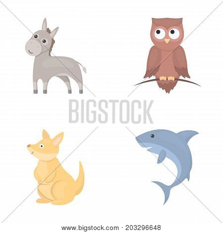 Donkey, owl, kangaroo, shark.Animal set collection icons in cartoon style vector symbol stock illustration .