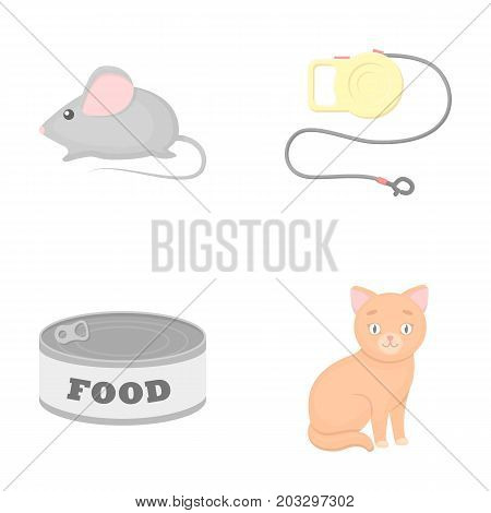 Mouse, pet leash, pet food, kitten. Cat set collection icons in cartoon style vector symbol stock illustration .