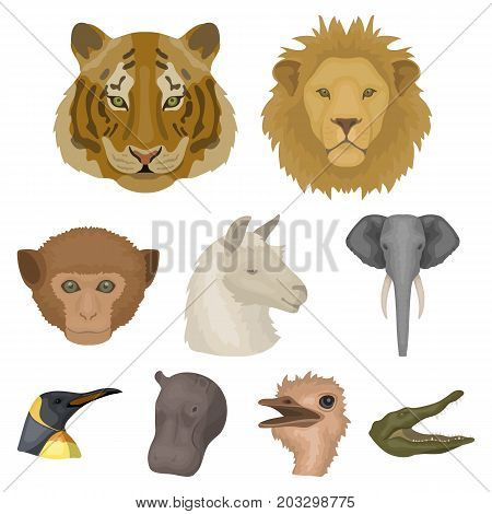 A set of icons of wild animals. Predatory and peaceful wild animals.Realistic animal icon in set collection on cartoon style vector symbol stock web illustration.