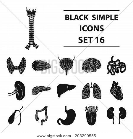 Human organs set icons in black design. Big collection of human organs vector symbol stock illustration