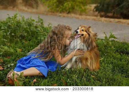 Cute little girl with a dog Sheltie breed. Best friends forever. Dog devotion. Girl cuddles up to a pet in the park