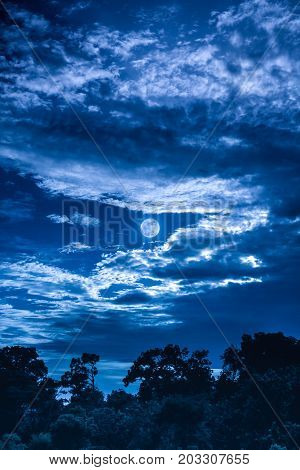 Sky With Clouds And Moon Above Silhouettes Of Trees. Serenity Nature Background.