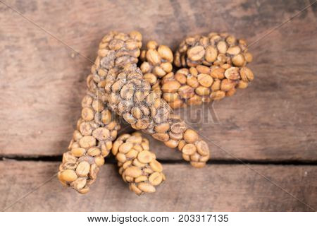 Kopi Luwak Or Civet Coffee, Coffee Beans Excreted By The Civet