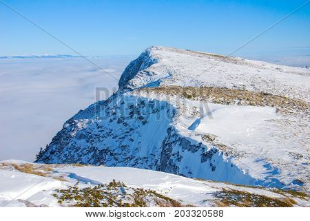 Mountain peak above the clouds. Sunny winter day on mountain above the clouds. Dry mountain in Serbia in winter with highest peak Trem