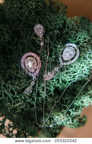 Earrings made of silver or white gold lie on the moss. White gems