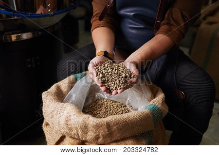 Hands of man showing sack full of green coffee beans
