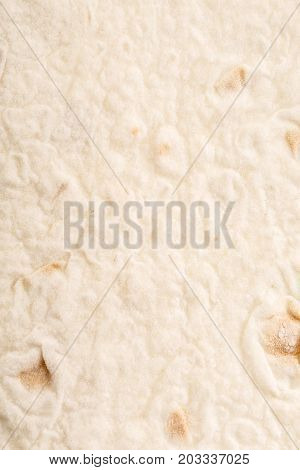 The Tortilla Wrap Bread.Close up texture .