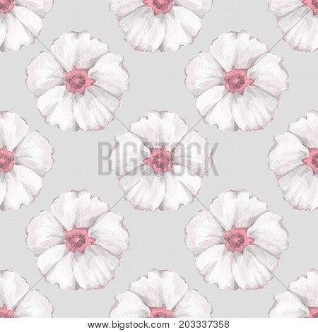 Floral seamless pattern. Watercolor background with white flowers 3